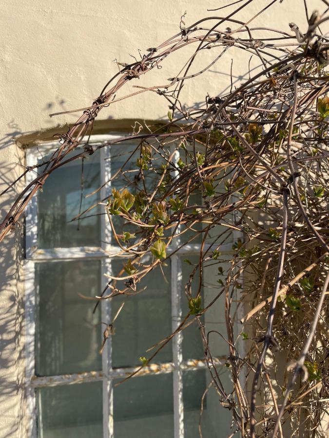 Feriehus I Skon Natur Stenstrup Exterior foto